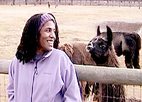 Tulasi and llamas